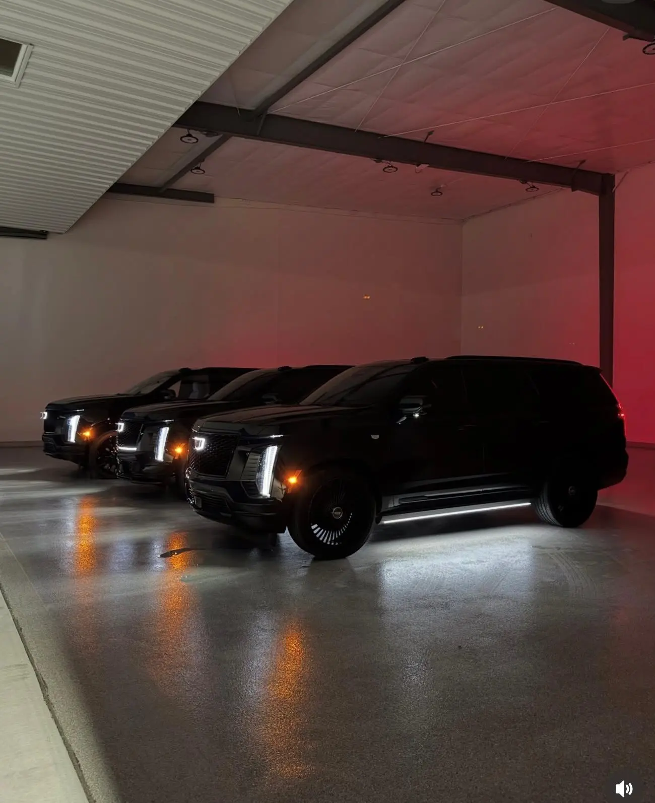 A line of black Cadillac Escalades prepared for chauffeur service
